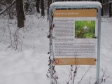 DSCN0851